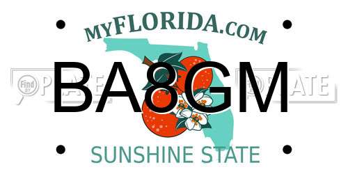 BA8GM Florida License Plate
