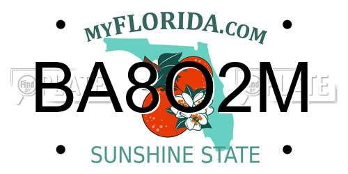 BA8O2M Florida License Plate
