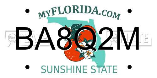 BA8Q2M Florida License Plate