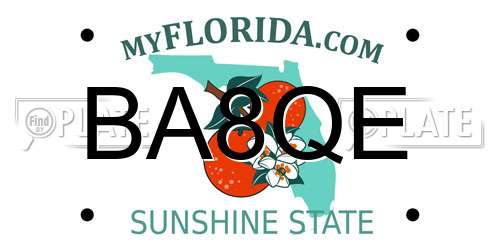 BA8QE Florida License Plate