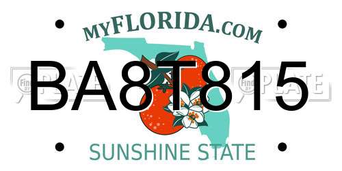 BA8T815 Florida License Plate