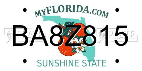 BA8Z815 Florida License Plate