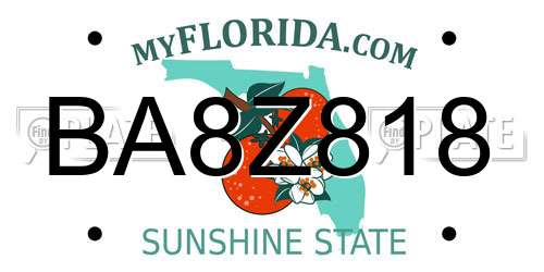 BA8Z818 Florida License Plate