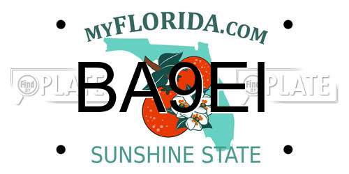 BA9EI Florida License Plate