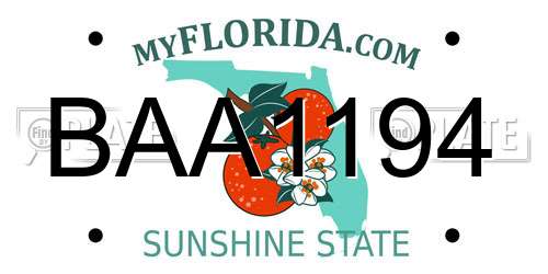 BAA1194 Florida License Plate