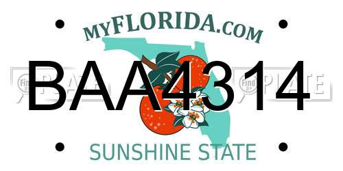 BAA4314 Florida License Plate