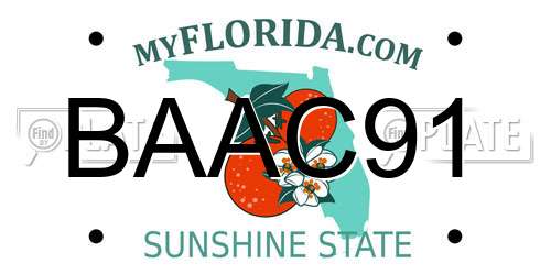 BAAC91 Florida License Plate