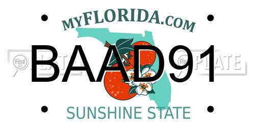 BAAD91 Florida License Plate