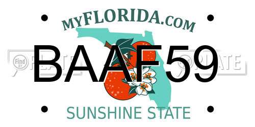 BAAF59 Florida License Plate