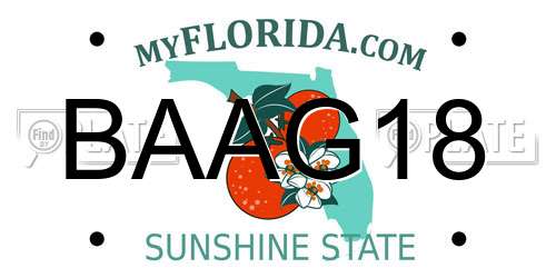 BAAG18 Florida License Plate