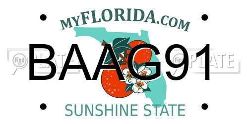 BAAG91 Florida License Plate