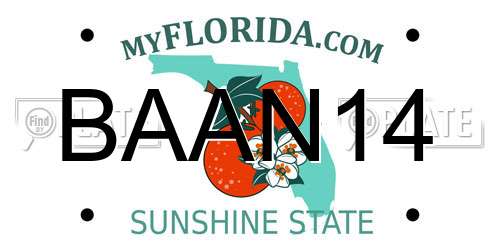 BAAN14 Florida License Plate