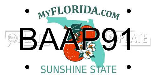 BAAP91 Florida License Plate