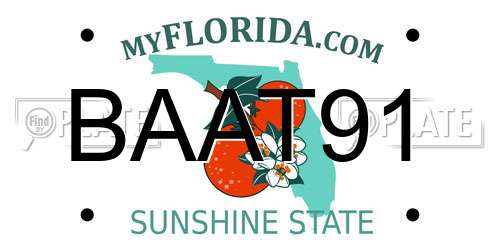 BAAT91 Florida License Plate
