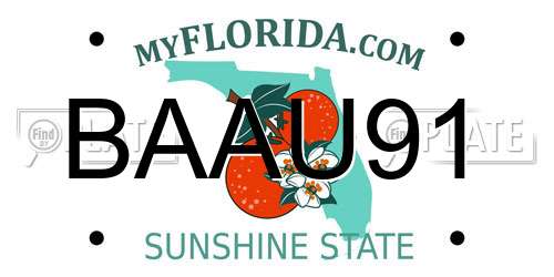 BAAU91 Florida License Plate