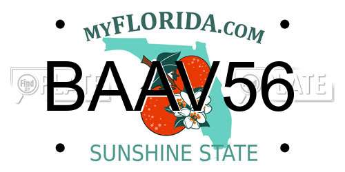 BAAV56 Florida License Plate