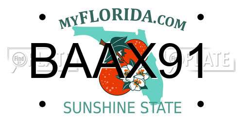 BAAX91 Florida License Plate