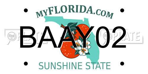BAAY02 Florida License Plate