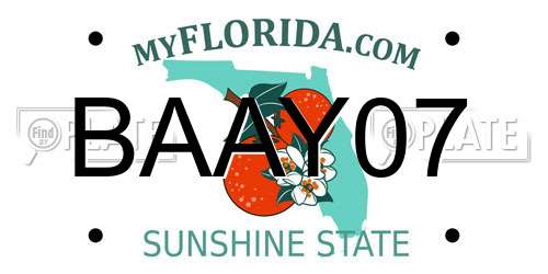 BAAY07 Florida License Plate