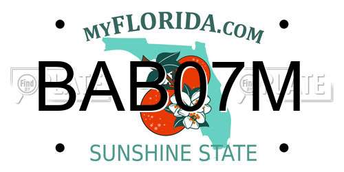 BAB07M Florida License Plate