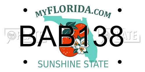 BAB138 Florida License Plate