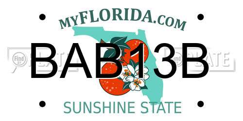 BAB13B Florida License Plate