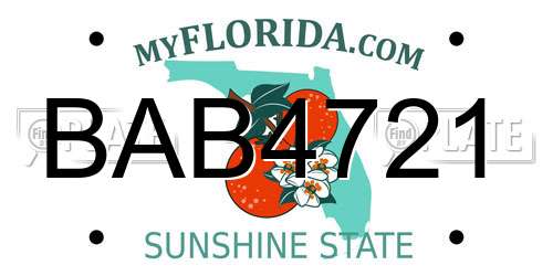 BAB4721 Florida License Plate