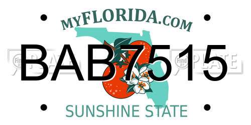 BAB7515 Florida License Plate