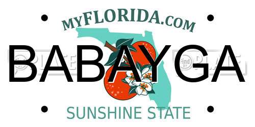 BABAYGA Florida License Plate