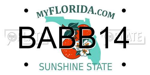 BABB14 Florida License Plate