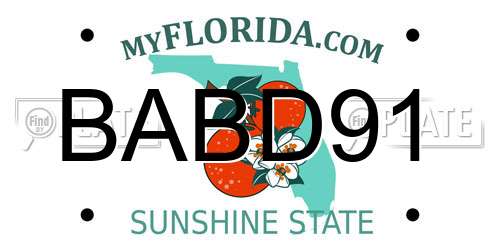 BABD91 Florida License Plate