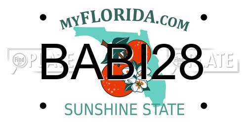 BABI28 Florida License Plate