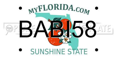 BABI58 Florida License Plate
