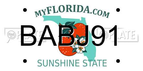 BABJ91 Florida License Plate
