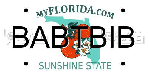 BABTBIB Florida License Plate