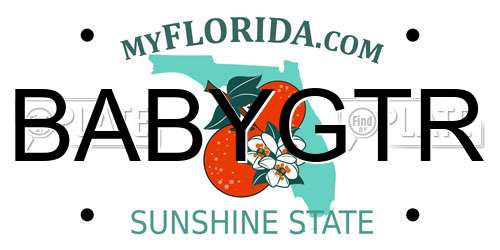 BABYGTR Florida License Plate
