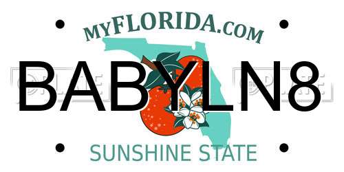 BABYLN8 Florida License Plate
