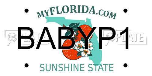 BABYP1 Florida License Plate