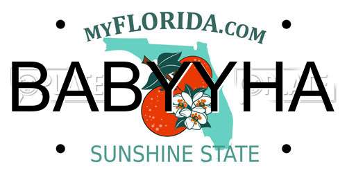 BABYYHA Florida License Plate
