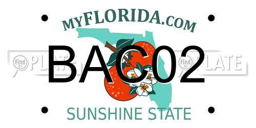 BAC02 Florida License Plate