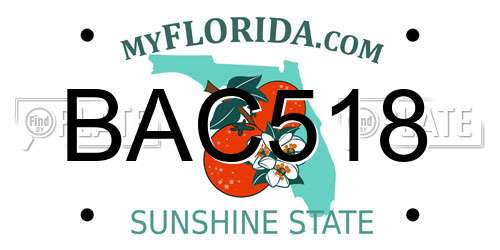 BAC518 Florida License Plate