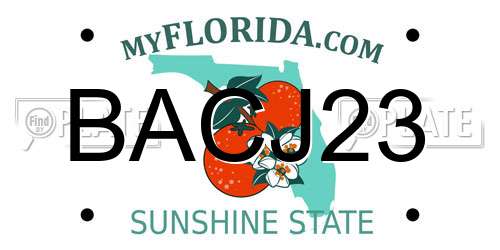 BACJ23 Florida License Plate
