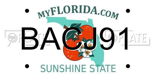 BACJ91 Florida License Plate