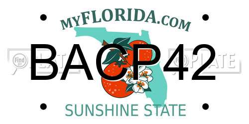 BACP42 Florida License Plate