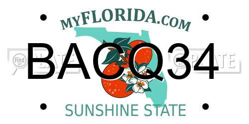 BACQ34 Florida License Plate