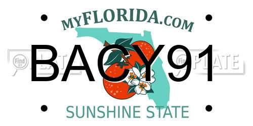 BACY91 Florida License Plate