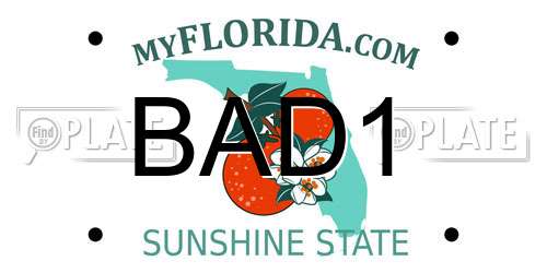 BAD1 Florida License Plate
