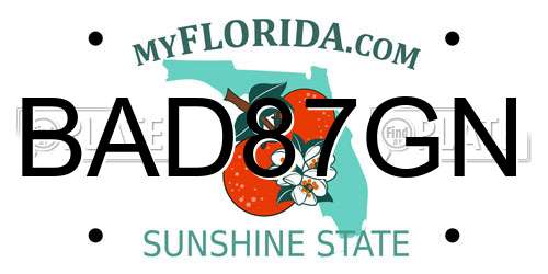 BAD87GN Florida License Plate