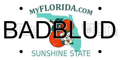 BADBLUD Florida License Plate