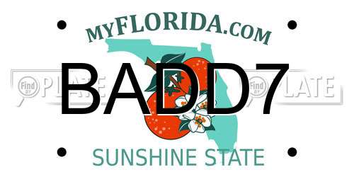 BADD7 Florida License Plate